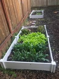 It's the lifetime 4' x 4' raised b. Raised Garden Frames And Dirt From Costco Costco