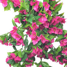 We did not find results for: Hanging Bougainvillea Plant Pink Lilac Designer Plants