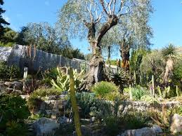 Epingle Sur Dry Gardens