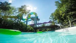 We did not find results for: 25 Fun Things To Do In Tampa With Kids Of All Ages