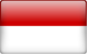 Résultat de recherche d'images pour "image drapeau indonesien"