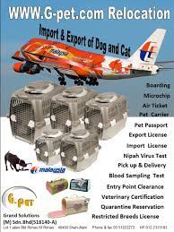 Our gradlyn pet shipping guides are very familiar with all aspects of the professional transport of animals and fully understand the special requirements of each different species, as well as the relevant legal regulations which must be. G Pet Dogs Cats And Pets Relocation Transport Travel Import Export Malaysia