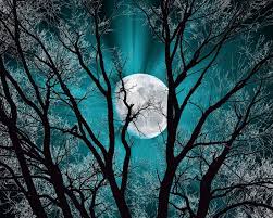 Discover fabulous wall art, stylish mirrors, fun signs and plaques.and that's just for starters! Modern Bedroom Home Decor Wall Art Matted Picture Teal Wall Decor Tree Moon Home Decor Home Garden