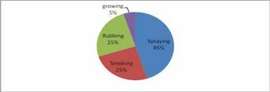 Pie Chart Showing Different Modes Of Application Of Various