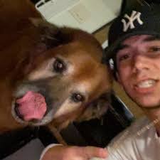 Dominic Meli's Instagram, Twitter & Facebook