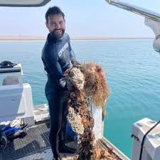 James Nankivell (@NankivellJames)