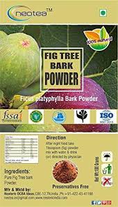 Was told by an old timer that the stains for bamboo fishing rods was root bark powder and other naturally found organic compounds from this builder. Neotea Athipattai Fig Tree Bark Powder 500g Ninelife Europe