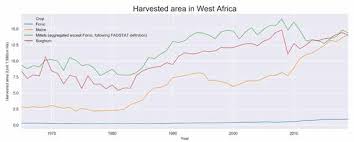 Image result for Eragrostis astreptoclada