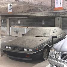 Profile for Signal Pine