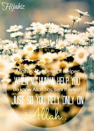 Hijabiz When All Other Help Is Being Sent Off Daisy Field Flowers Flower Meanings