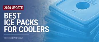They are reusable and as they are lightweight and handy. Best Ice Packs For Coolers You Can Get Right Now 2020 Reviews