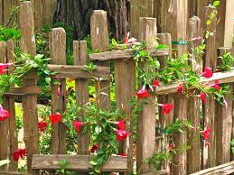 Carmel Cottage Open House Backyard Garden Design Rustic Fence Rustic Gardens