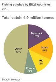Euro Mps To Hold Crucial Vote On Fishing Reform Bbc News