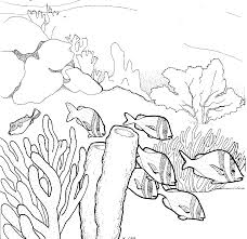 Coral reef fish tank coloring pages to color, print and download for free along with bunch of favorite coral reef fish coloring page for kids. Colored Pencil Drawings Of Underwater Pin By Sabrina Reber On Florida Pinterest Coral Reef Drawing Coral Drawing Ocean Drawing