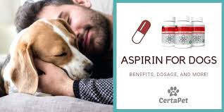 Baby Aspirin For Dogs Dosage Chart Dwellco Me