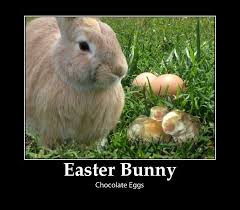 Origin Of The Easter Bunny And Laying Chocolate Eggs E Forwards Com Funny Emails Chocolate Easter Bunny Easter Bunny Easter Fun