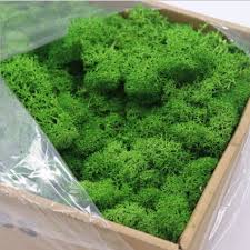 3 packs of artificial hanging plants, each with 5 bifurcations, the total length of the fake hanging plant is 110cm/43.3in/3.6 feet, and the width of the vine plant is about 25cm/9.8in. 20g Multicolor Artificial Moss Grass Fake Flower Plant Moss Decoration Home Living Room Diy Garden Flower Decor Accessories Artificial Dried Flowers Aliexpress