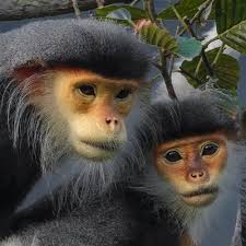 Vicky Stephens (@vkes)