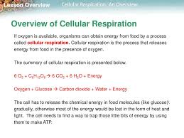 In the example of aerobic cellular respiration, your answer should at a minimum show a basic. 9 1 Cellular Respiration An Overview Ppt Download