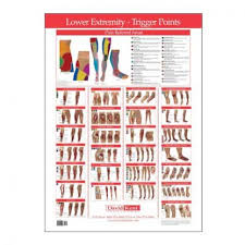 kent trigger point lower extremity chart