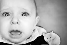 Little Albert Found: Ethical Dilemmas With Watson's Research With Dr. Hall  "Skip" Beck