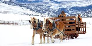 Hours may change under current circumstances Sleigh Rides In Vail And Beaver Creek Mountain Mover Blog