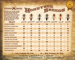 Breeds Of Different Animals On Amazing Charts Bee Keeping