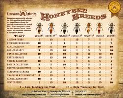 breeds of different animals on amazing charts bee keeping