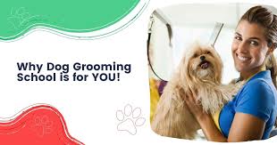 Maybe you would like to learn more about one of these? Why Dog Grooming School Is For You I Love Veterinary