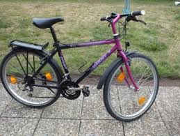 Giant Terrago 26 Mtb Rh 43cm Shimano Ausstattung Schwalbe In Baden Wurttemberg Erbach Mtb Schwalbe Wurttemberg
