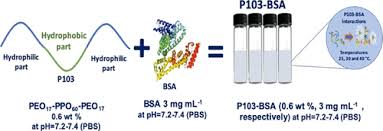 Adsorption and Interaction of Bovine Serum Albumin and Pluronic P103  Triblock Copolymer