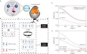 The avian quantum compass.The radical-pair mechanism for avian ...
