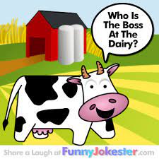 Where there's a will, there's a relative. Funny Cow Joke At The Funny Farm