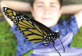 ArDOT says 2 years to traffic signal