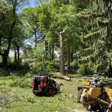 Get quotes and book instantly. Tree Services In Spring City Yelp