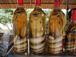 Image result for snake eatables in china