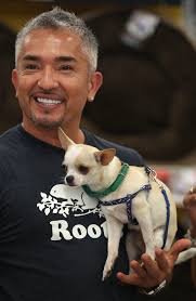 Toronto Star Photo Blog