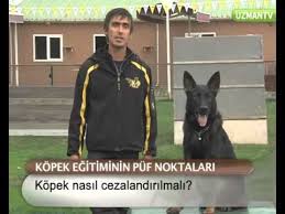 Kopek Nasil Cezalandirilir Youtube