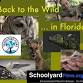 Sunday Nature Film Feature "Back to the Wildin event image