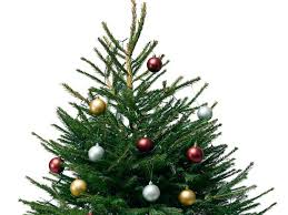 Maybe you would like to learn more about one of these? Where To Buy Christmas Trees In London Collection Delivery