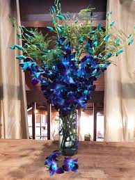 Explore our exclusive flowers for birthday, anniversary, wedding, or any other event. Pin On Orchid Arrangements For Any Occasion