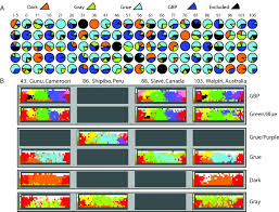 Create the perfect color scheme for your next project. World Color Survey Color Naming Reveals Universal Motifs And Their Within Language Diversity Pnas