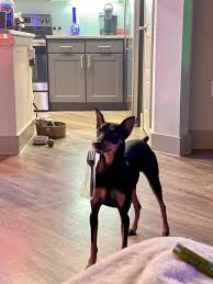 He's holding my fork hostage until...