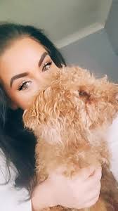 UPDATE HES BEEN FOUND!! THANK YOU EVERYONE Please help waffles has got out 