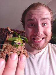 Budget-friendly plant care tips for beginners