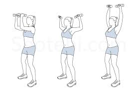 Elbow Squeeze Shoulder Press Illustrated Exercise Guide Workout Guide Shoulder Workout Shoulder Press Workout