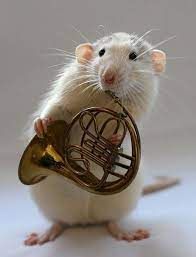 mousie mousie mousie かわいいネズミ かわいいハムスター ホルン イラスト