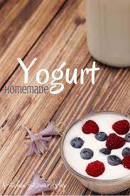 How To Make Easy Homemade Yogurt Save Over 1000 Year Homemade Yogurt Real Food Recipes Food