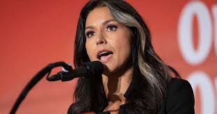 Hawaii's Tulsi Gabbard added to TSA terror watchlist