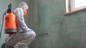 Beseitigungsanspruch Des Mieters Bei Schimmelbildung In Altbauwohnung Ag Wedding Az 15a C 58 10 Damage Restoration Restoration Services Fire Damage Repair
